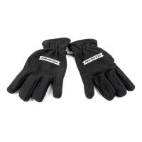 Перчатки зимние RAVENOL